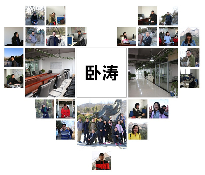 臥濤發(fā)展歷程 臥濤發(fā)展歷程